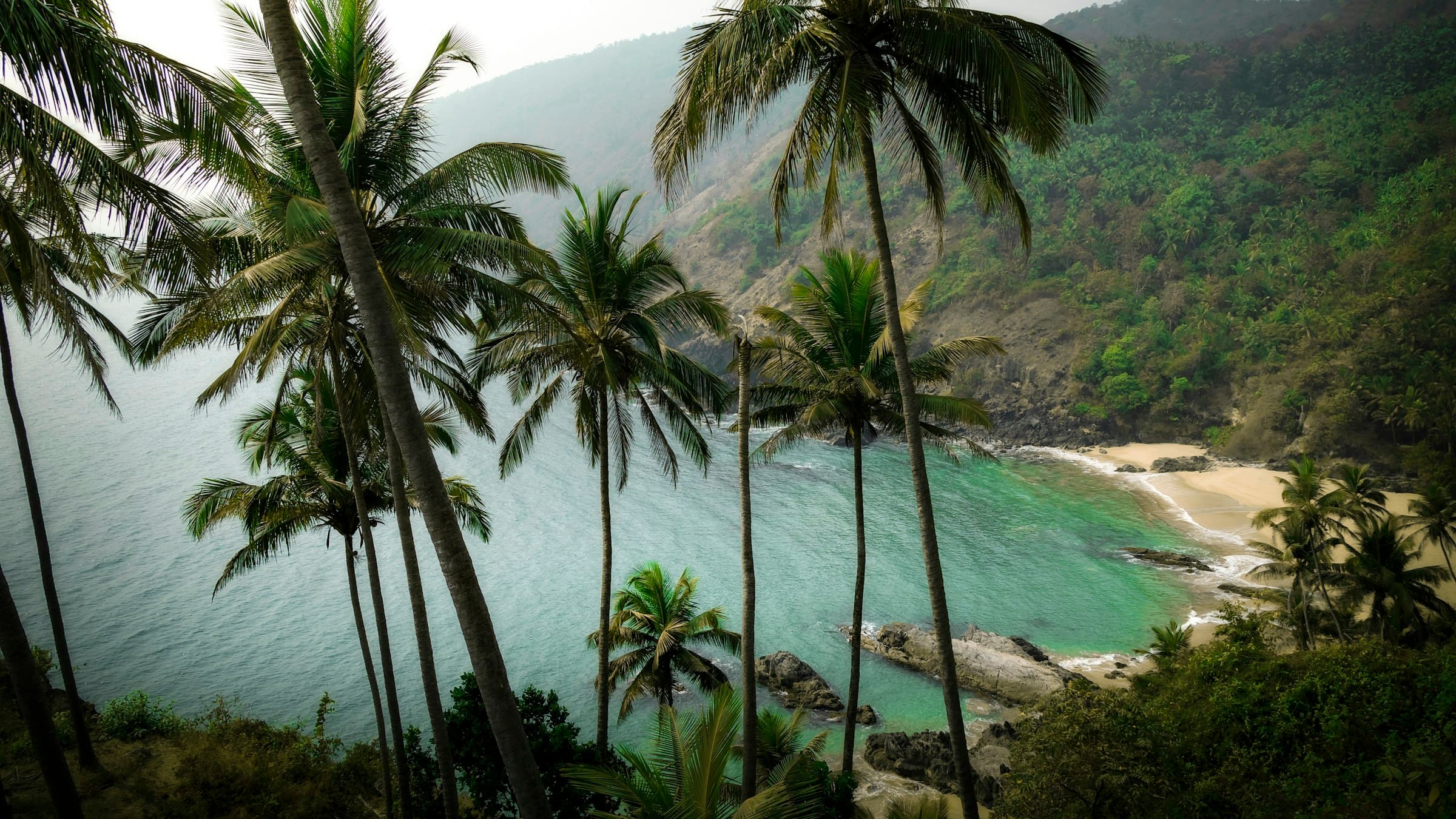 Palm-fringed Kakolem Beach in Goa seen from a hillside above the Arabian Sea
