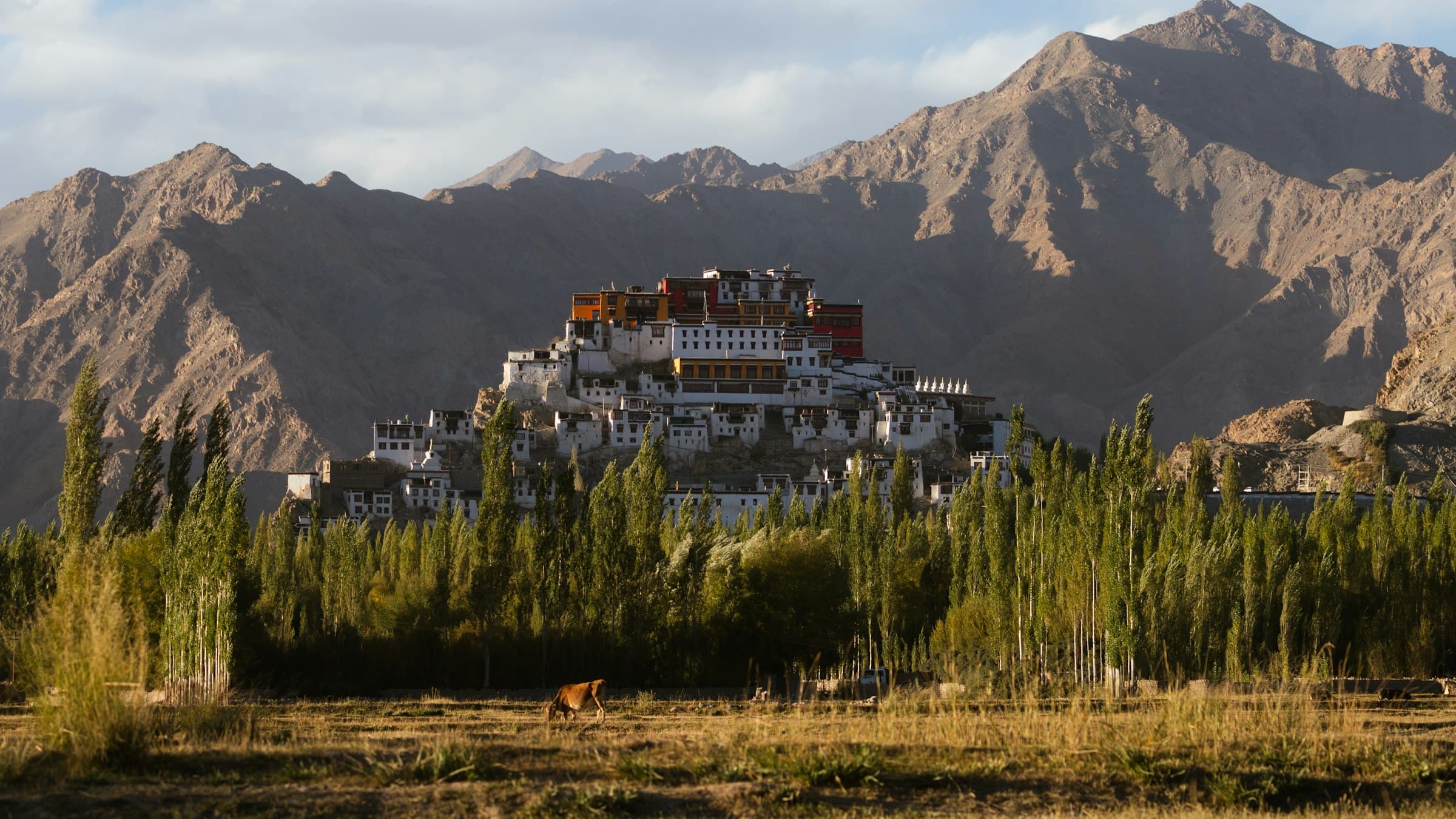 Thiksey Monastery on a hillside near Leh, Ladakh, the region's largest Buddhist monastery