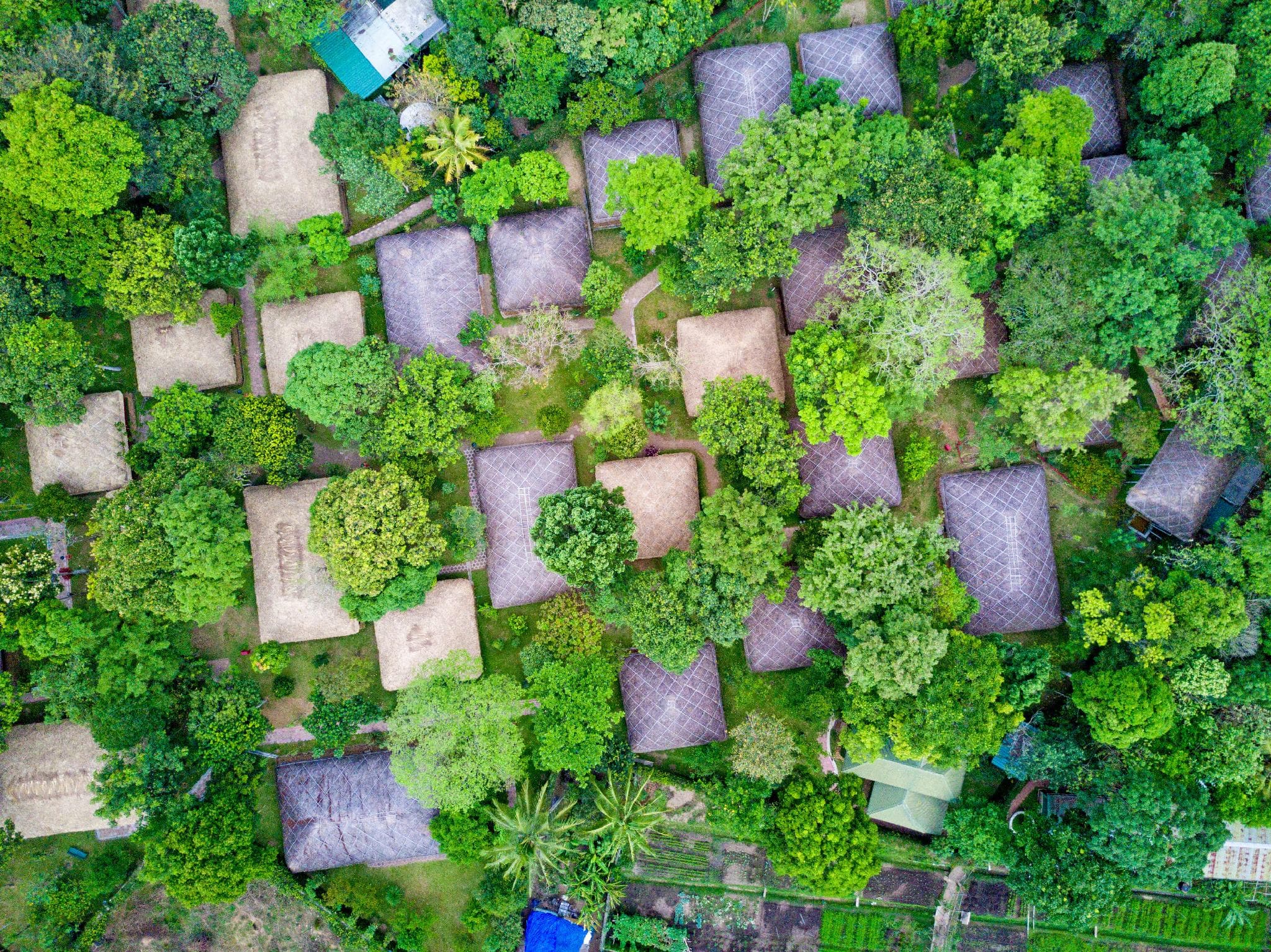 Aerial view of thatched-roof cottages at Spice Village, CGH Earth, Thekkady