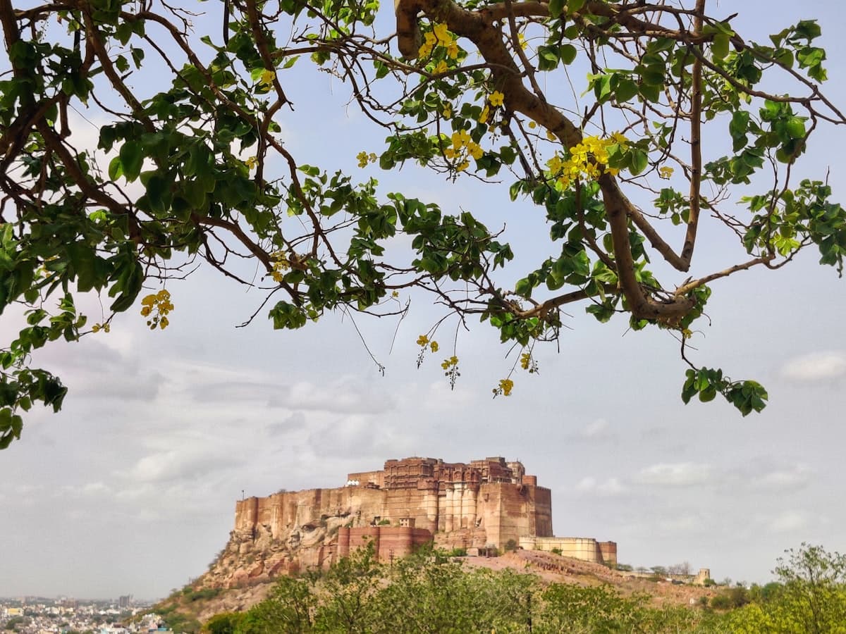 Mehrangarh Fort towering over Jodhpur's blue-painted old city, seen from Jaswant Thada