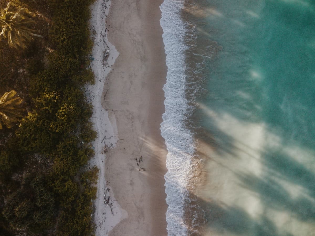 Aerial view of a sandy beach meeting open water near Neil Island, Andaman Islands