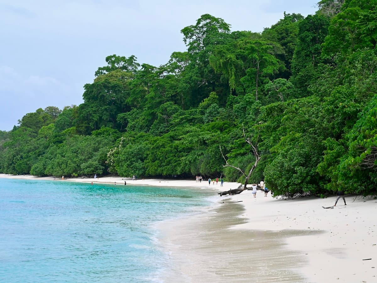 White sand beach fringed by green trees, Kala Pathar Beach, Andaman Islands