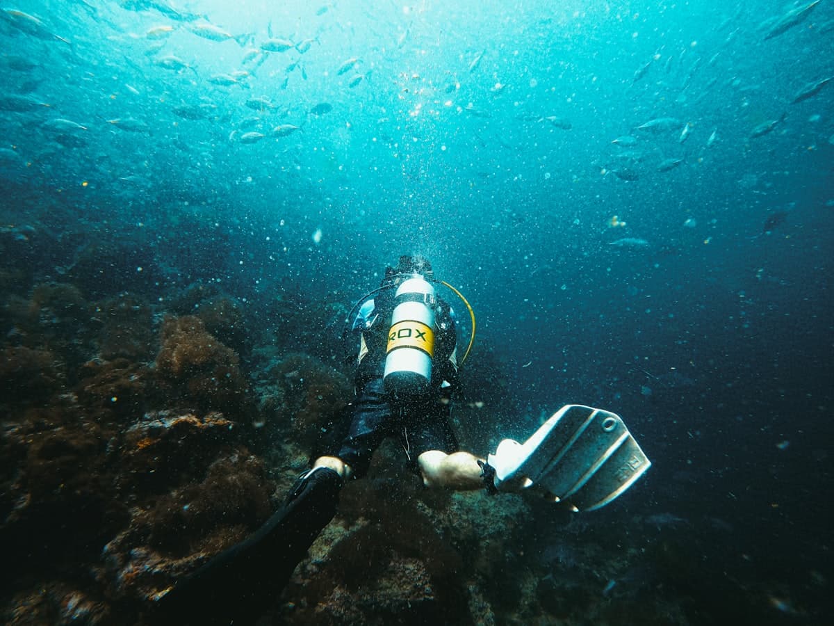 A scuba diver exploring a coral reef surrounded by fish