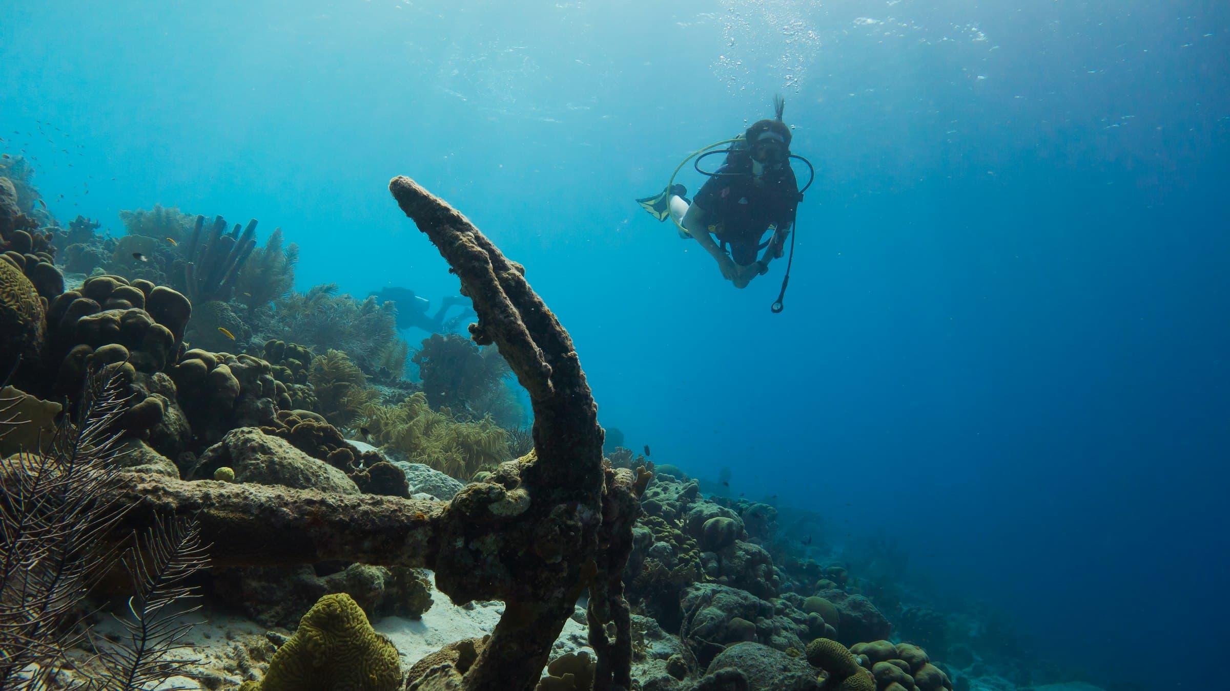 A scuba diver swimming over a coral reef in clear blue water