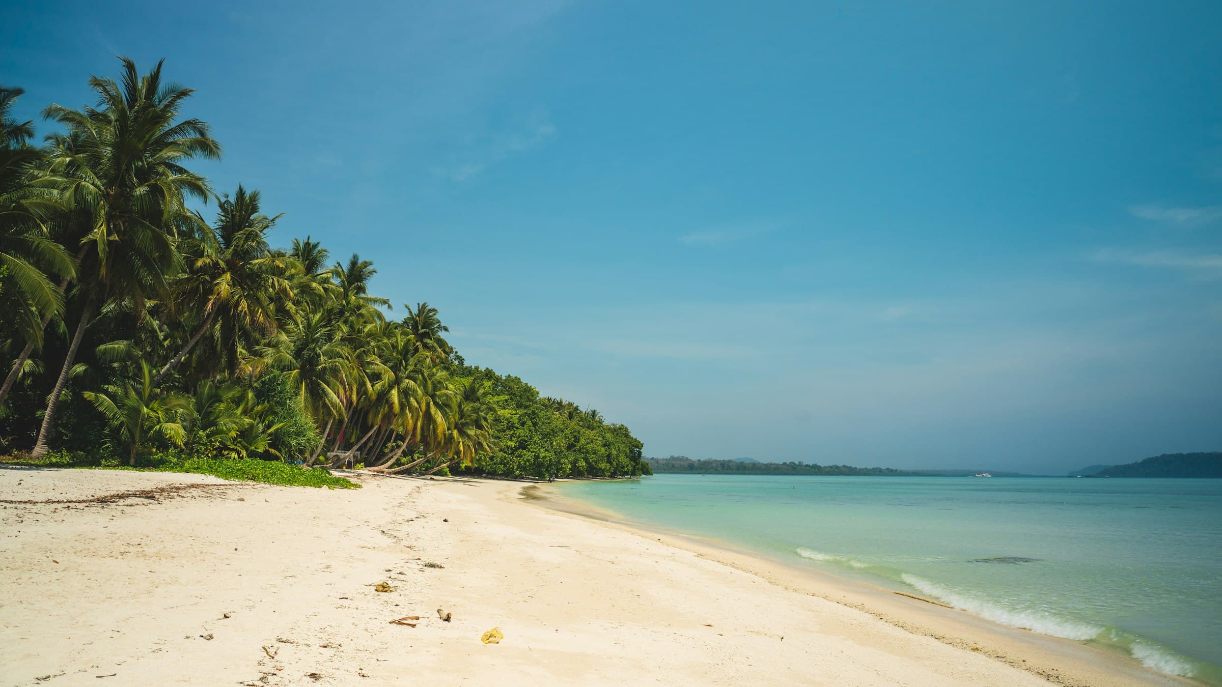 A palm-fringed white sand beach on Havelock Island, Andaman Islands
