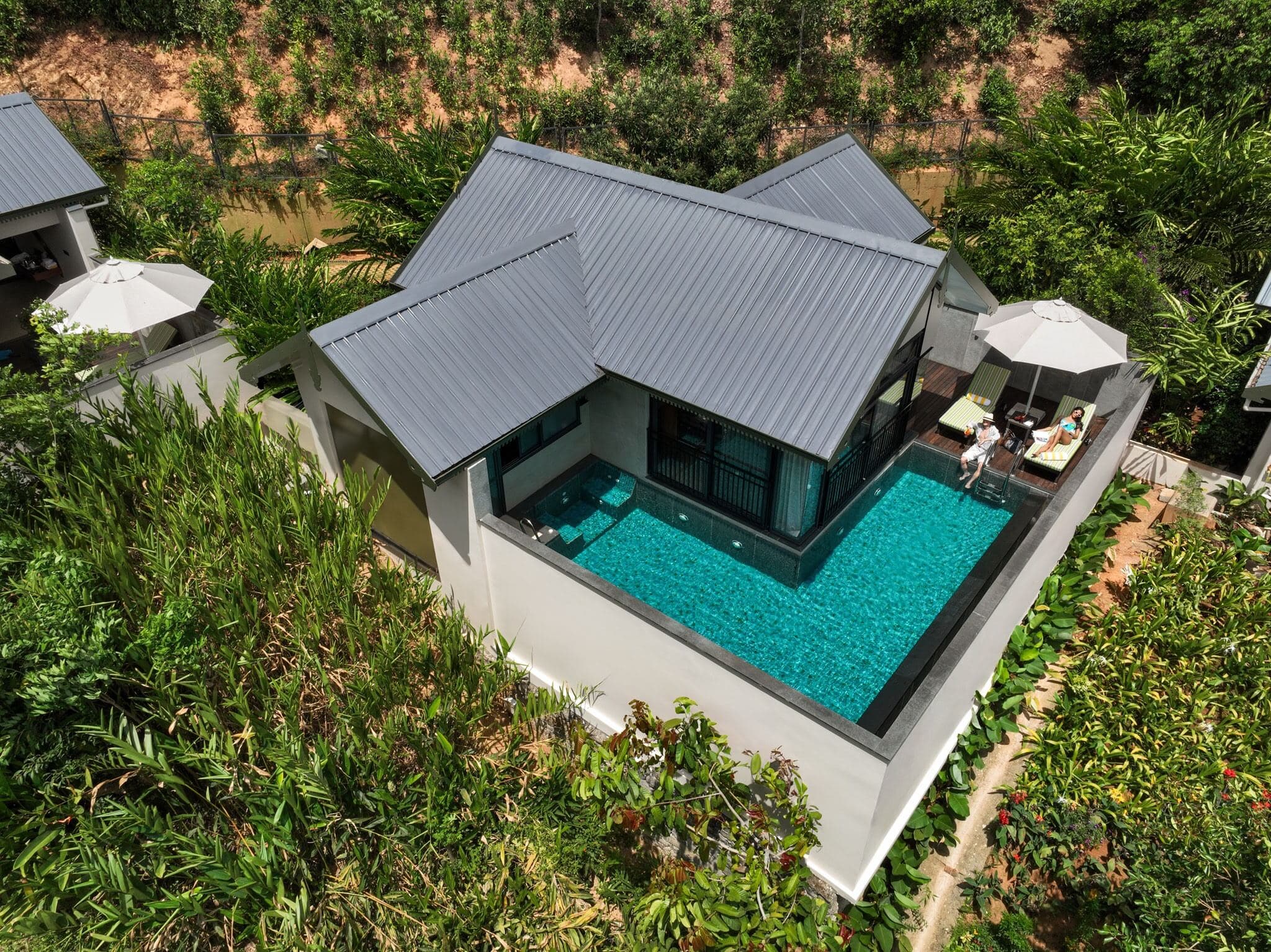 A SeleQtions Villa with private plunge pool at Scenic, Munnar, overlooking the tea slopes