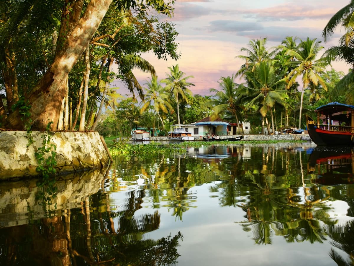 A narrow backwater channel with small boats moored under overhanging palm trees
