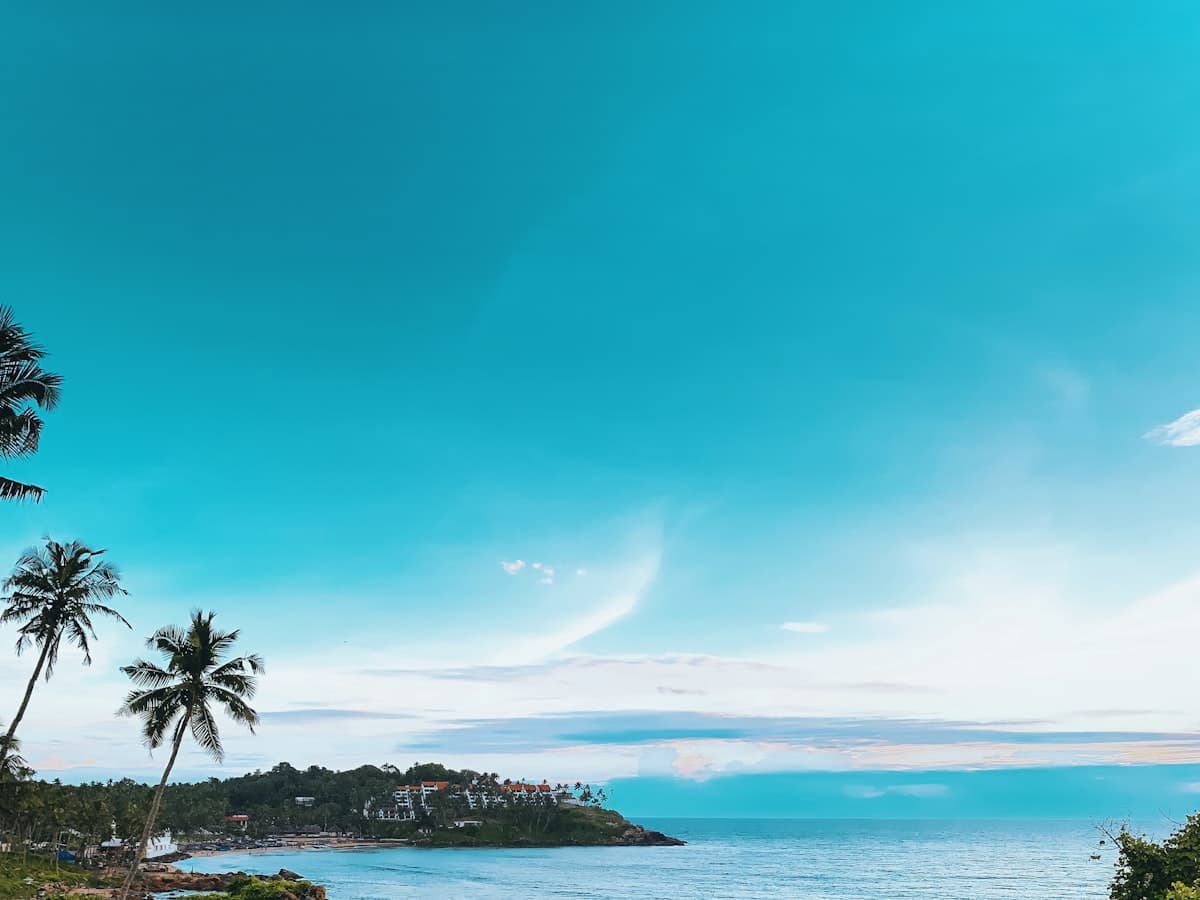 A scenic view over the Arabian Sea from a green coastal hillside