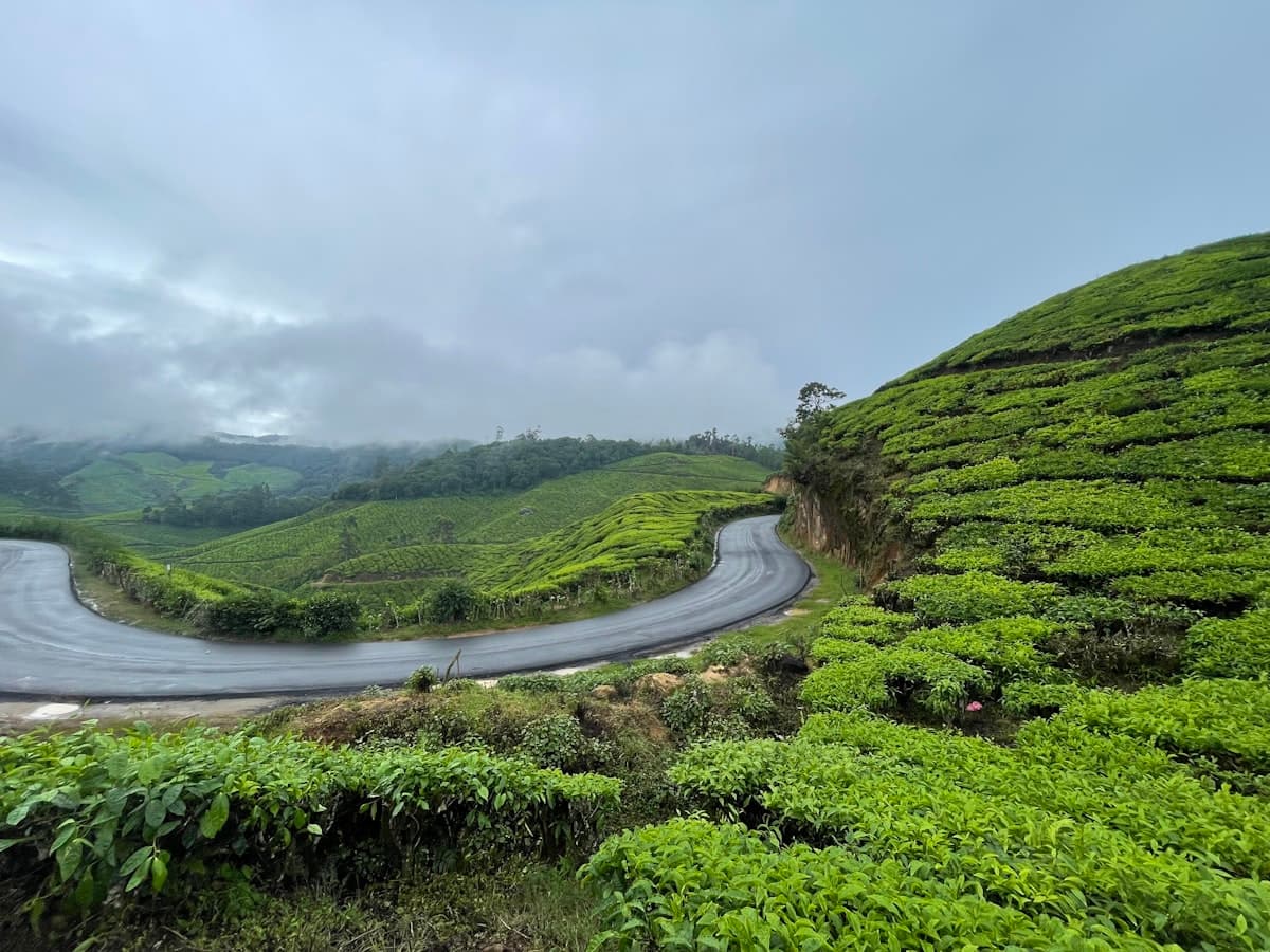 A curved mountain road cutting through a lush green hillside in the Western Ghats