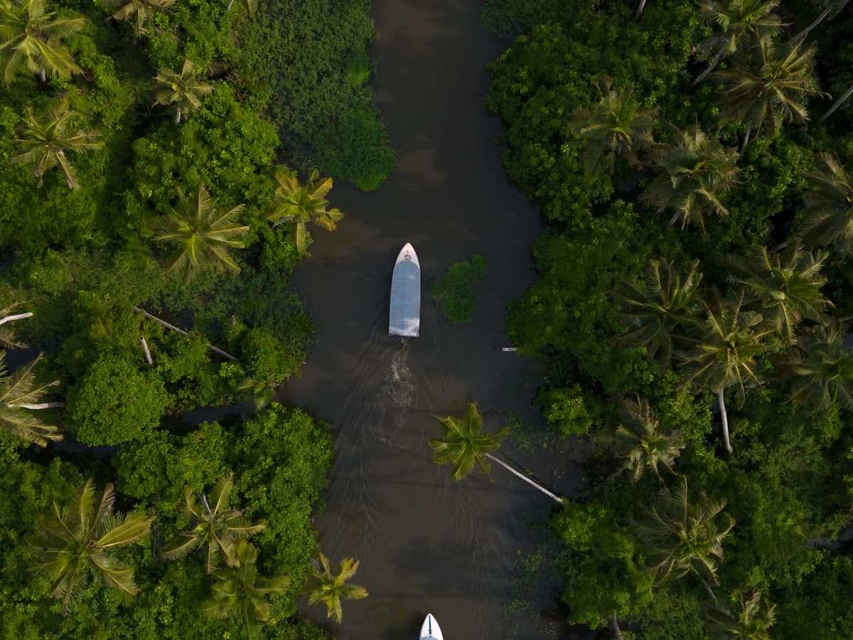 Two boats on a broad river flanked by dense palm trees in the Kerala backwaters