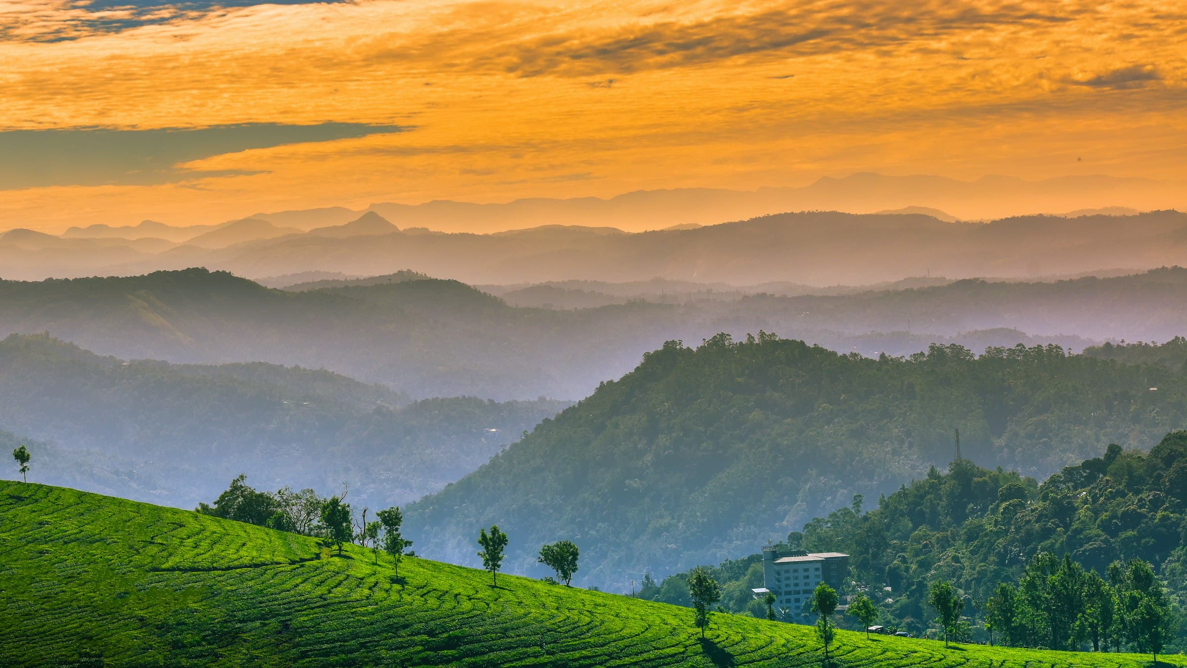 A wide landscape of green hills and scattered trees in the Kerala high ranges