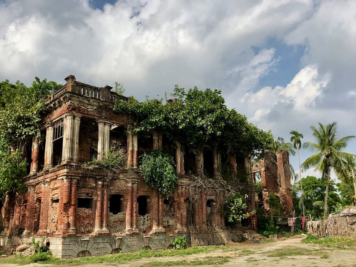 Abandoned building surrounded by trees