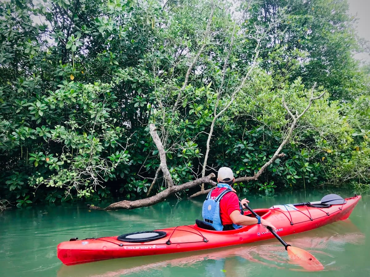 A person paddling a red kayak through a narrow channel lined with mangroves