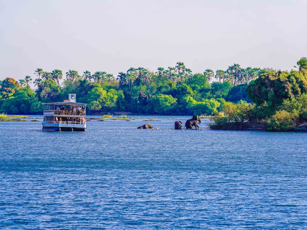 A tour boat on a river with elephants in the background